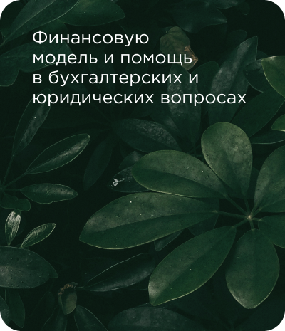 slide img